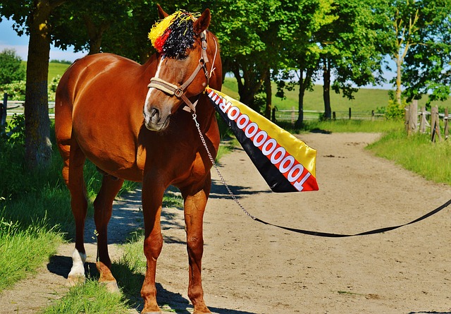 然讲究实力 然讲究实力