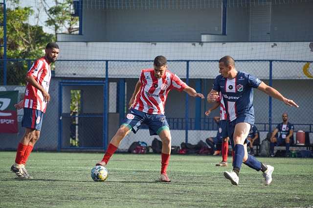 展现出极高 展现出极高