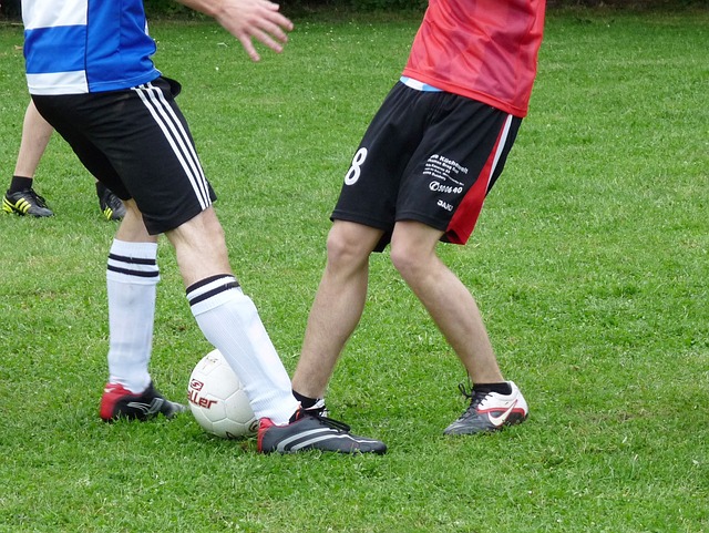 似乎陷入了 似乎陷入了