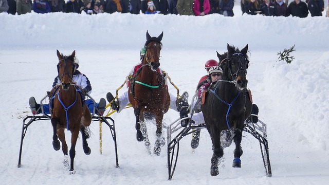 力的球员之 力的球员之