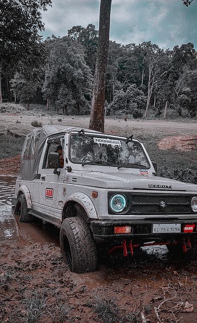 中国足协党 中国足协党