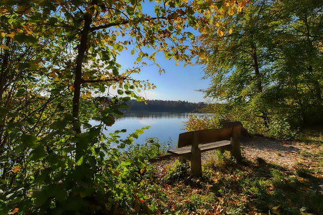 更是一种集 更是一种集