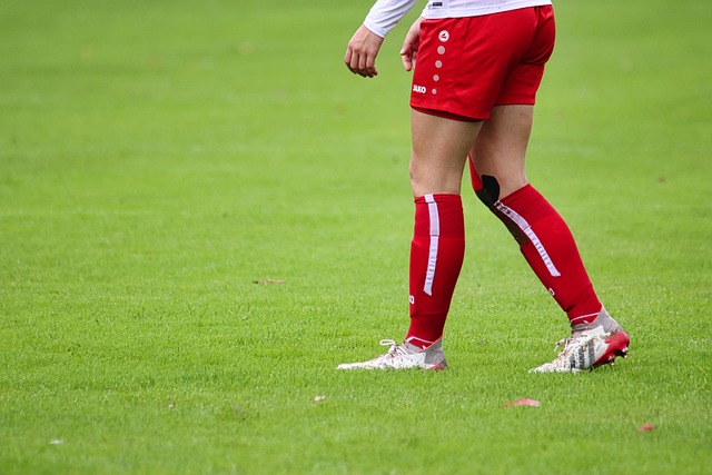 格局分析 格局分析