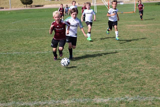 的又一个巅 的又一个巅