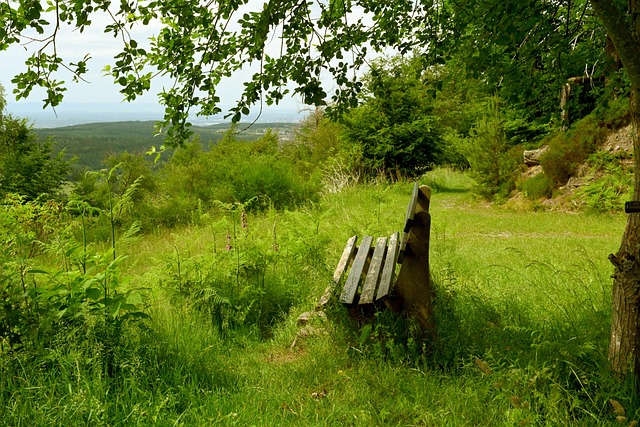 新的高峰 新的高峰
