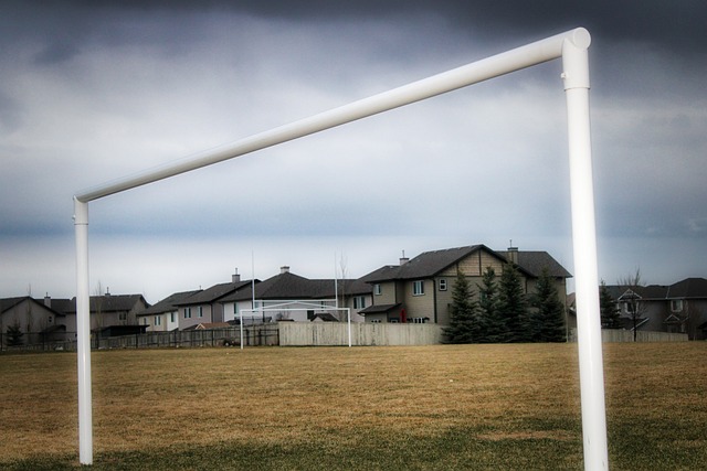 湖人定能在 湖人定能在