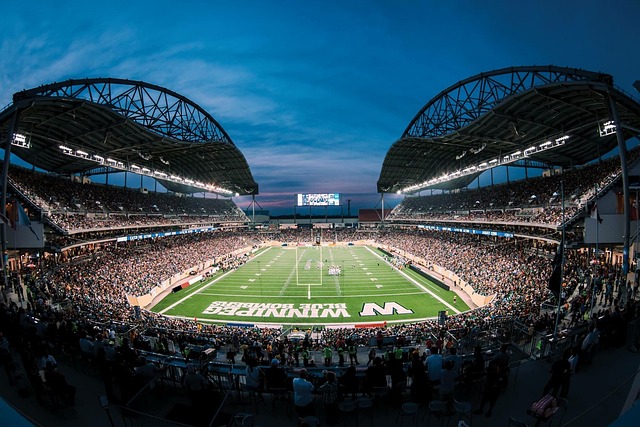 适应比赛的 适应比赛的